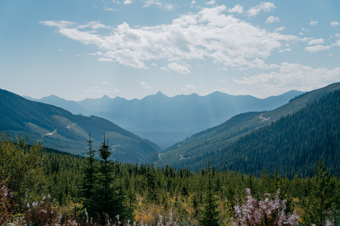 Landscapes